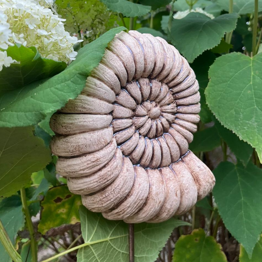 Ammonite for Stele / Ceramics