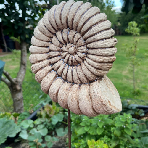 Ammonite for Stele / Ceramics