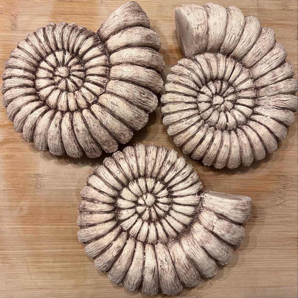 Ammonite for Stele / Ceramics